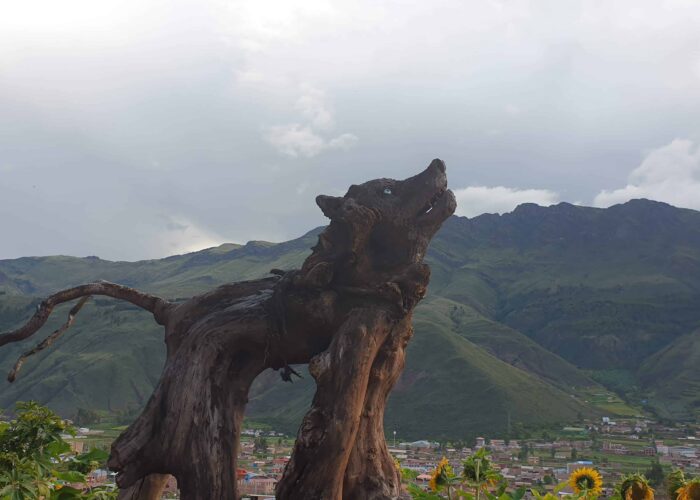 wolf at humedal cusco