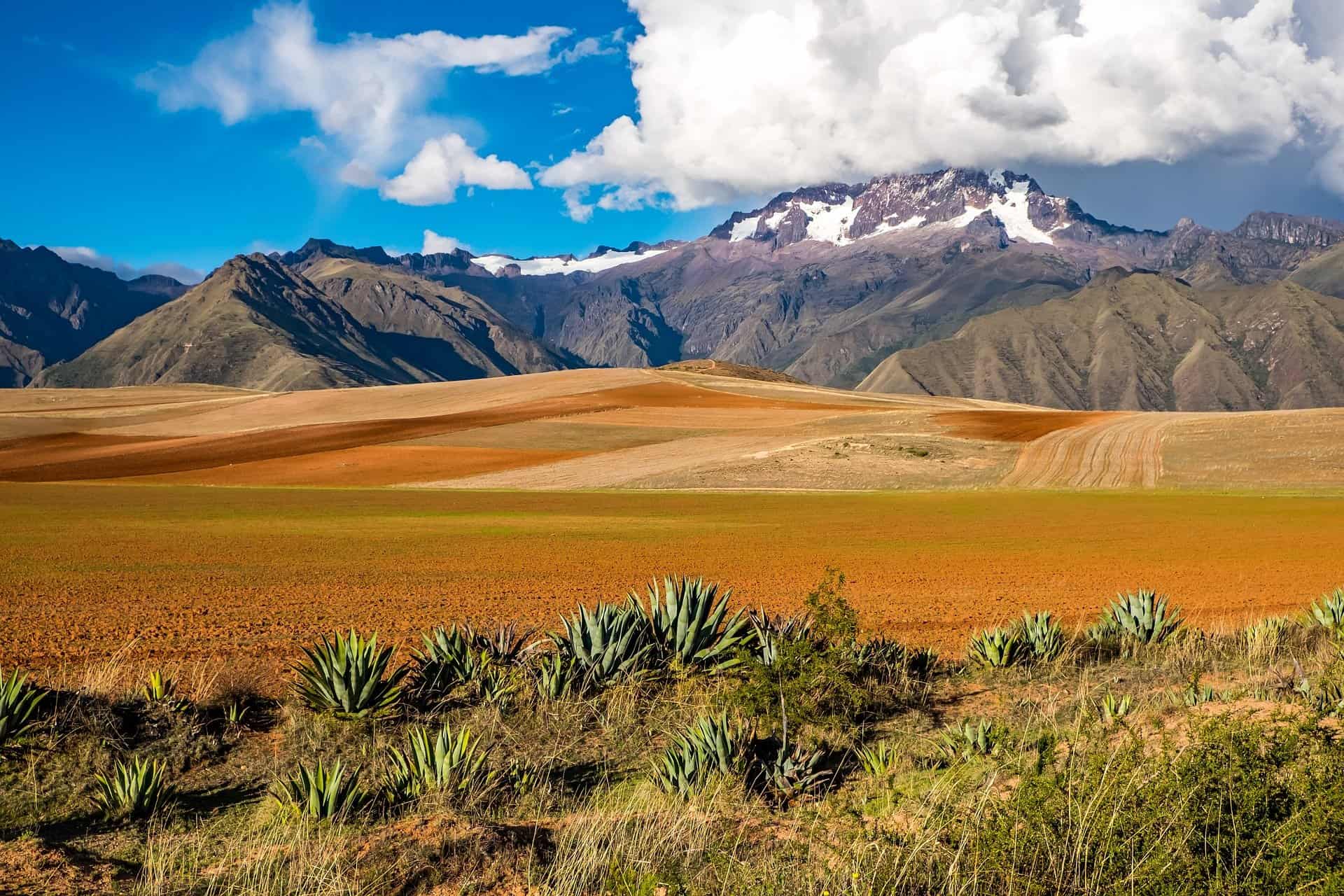 Cusco