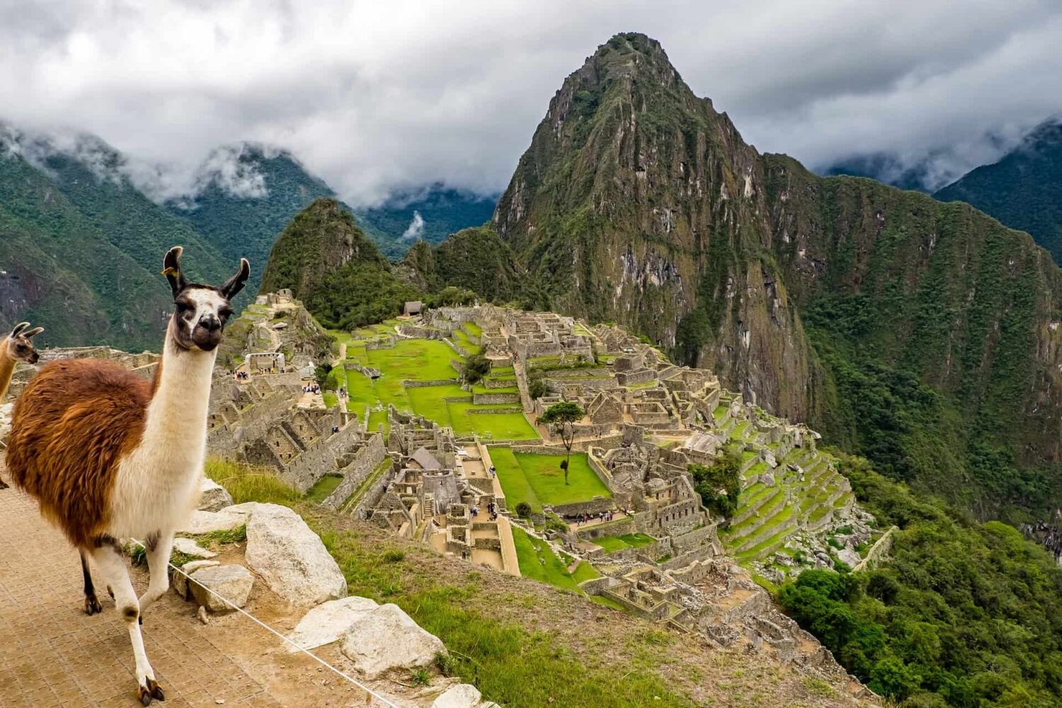 Machu Picchu by Bus