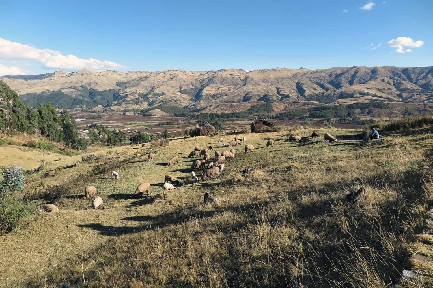 Sacred Valley