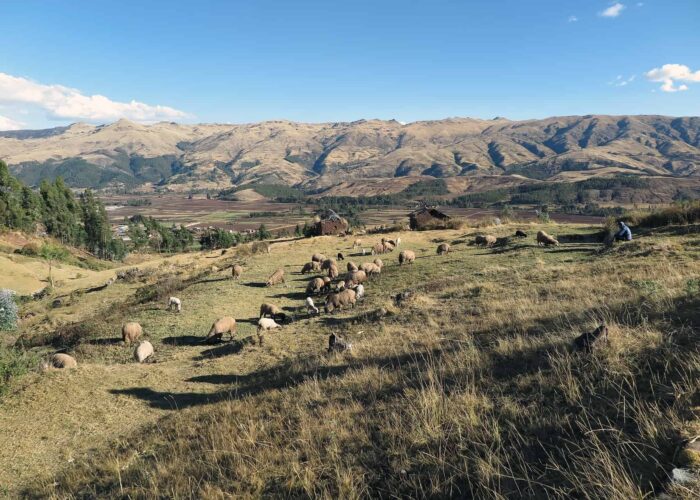 Sacred Valley