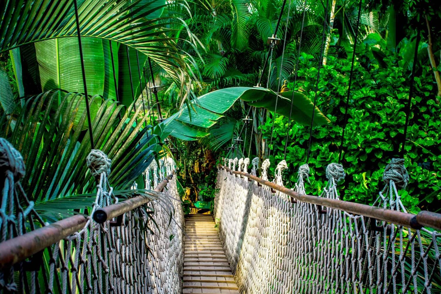 walk-way in Puerto Maldonado